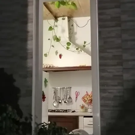 Rooftop Attic Apartament